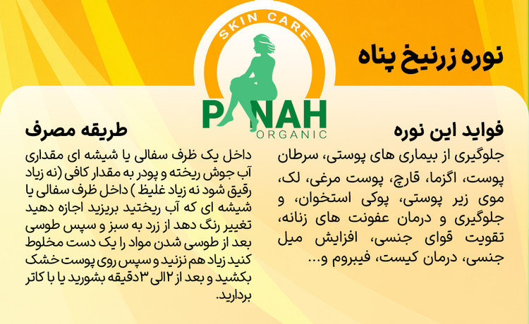 نوره زرنیخدار پناه